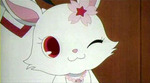 20090405-10.jpg